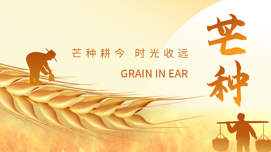 芒种｜弯腰时，听见时光的回响