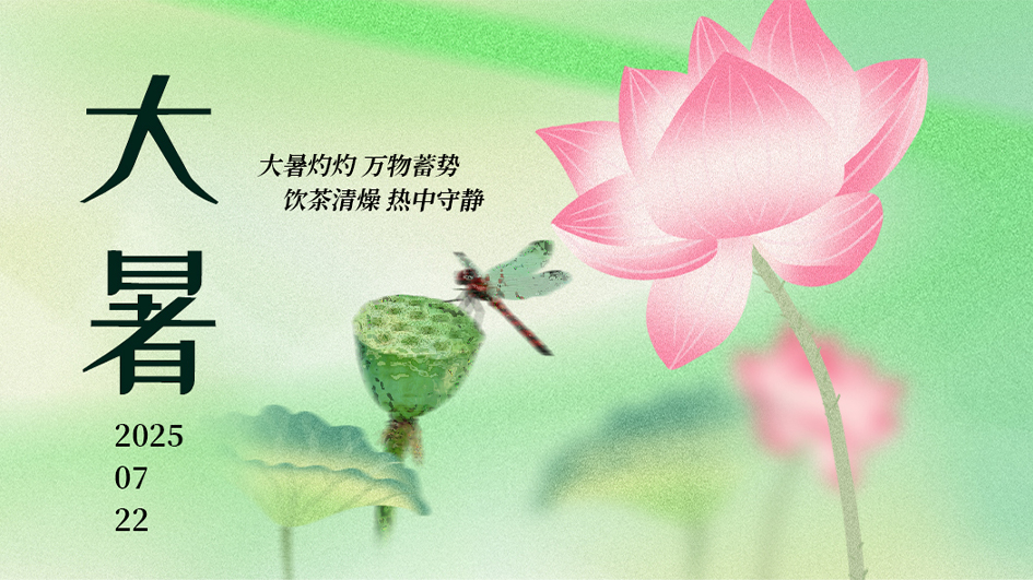 大暑｜暑气正浓时 静守清凉境