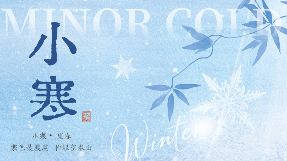 小寒 | 深藏蓄力，抬眼望春