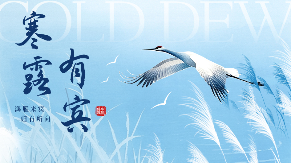 寒露 | 露气寒冷时，收敛自有光